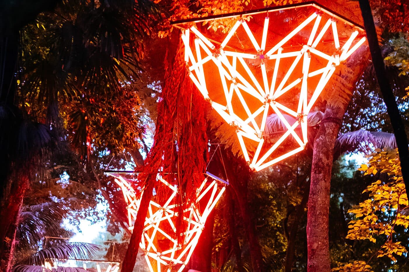 Illuminated geometric lanterns hung among trees at night
